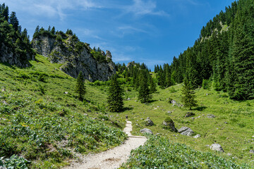 Sommerliche Wanderung auf den Laber bei Oberammergau