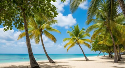 Fototapeta premium Relaxing Beach Day with Lush Palm Trees in a Tropical Paradise | Scenic Nature Photography | Serene Coastal Environment