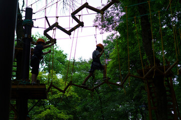 Children enjoy climbing a tree adventure course in a forest setting on a sunny afternoon