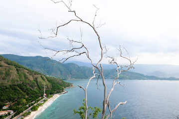 Dry white tree branches with the background of Cristo Rei beach, Timor Leste