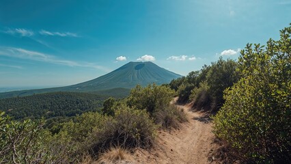 Walking Path Climbing Towards The
