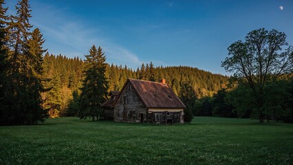 Obraz premium Deserted rural home surrounded by dense woods under a sunny afternoon sky with a visible moon