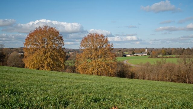 Autumnal scenery with grassy fields and a pathway through the woods