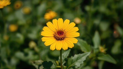 Yellow zinnia blossom captured up close amidst garden flowers