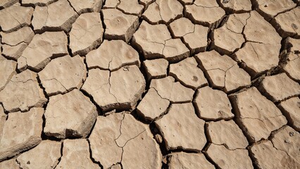 Outcomes of changing climate patterns such as dry cracked ground, lack of rainfall, desertification, and extreme drought