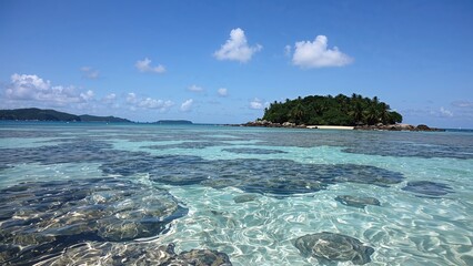 Fototapeta premium A serene tropical beach featuring a vibrant coral reef lagoon