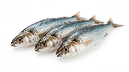 Isolated fresh anchovies, three in number, on a white background