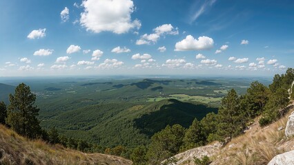 Fototapeta premium Panoramic View of Verdant Terrain from a Mountain Summit