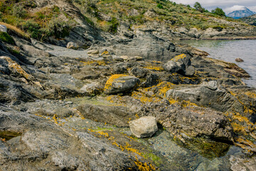 Rugged Shoreline Bathed in the Soft Glow of Overcast Skies
