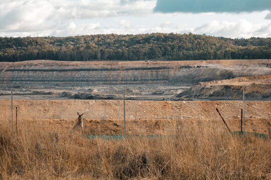 Kangaroo behind boundary fence of open cut coal mine looking out towards pit