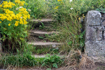 Old Stonework Steps at an Overgrown Beachside Location