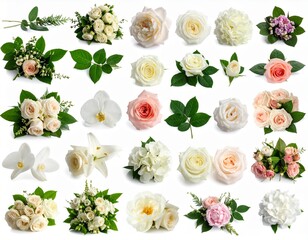 白と淡いピンクの花や葉を並べたフラットレイ構成のイラスト素材｜バラ,葉,背景素材