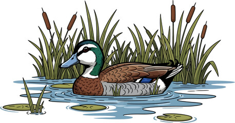 Detailed cartoon duck is swimming peacefully in light blue water with green reeds and brown cattails around it, suitable for nature or educational illustrations.