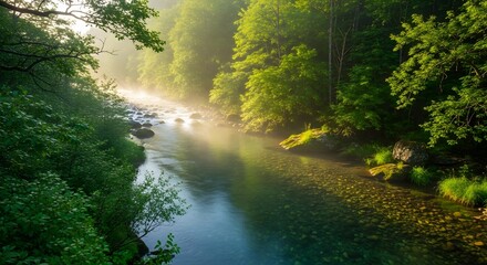 Fototapeta premium Tranquil River Landscape in Lush Green Forest Environment, Nature Photography, Peaceful Viewpoint