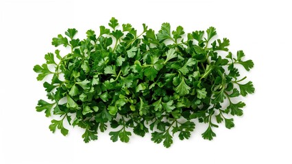 Naklejka premium Close-up of fresh herb parsley pieces isolated on a white background