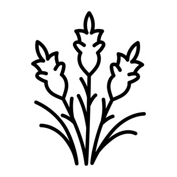 A sketchy style icon depicting a gladiolus flower
