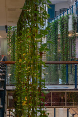 new york city buildings, gallery_with_vines