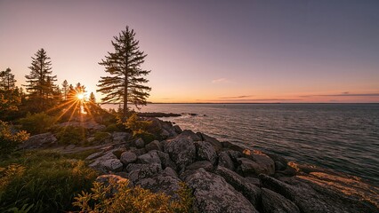 Stunning sunset light over pristine northern wilderness with pine trees on rocky terrain by a large sea bay