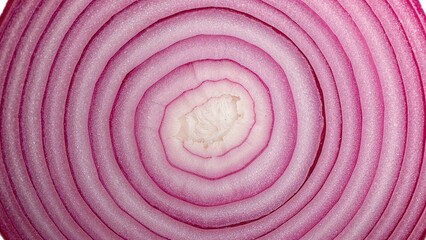 Cross-section revealing the layered structure of an onion