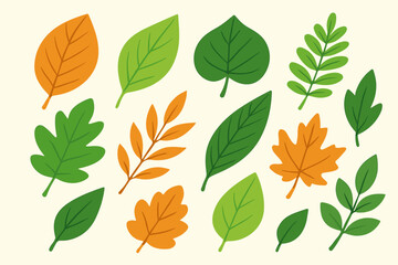 Autumn leaf collection vector illustration set. Various botanical foliage shapes in green orange colors. Natural organic plant elements graphic design resources
