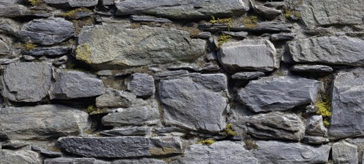 Fototapeta premium The textured stone wall showcasing rustic charm and natural beauty.