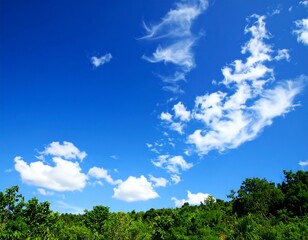 Fototapeta premium Vibrant blue sky with fluffy white clouds and lush green trees
