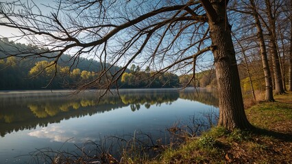 Obraz premium Idyllic nature setting featuring river, trees, and bright morning light