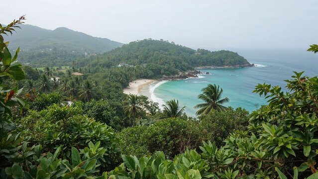 Secluded Wild Beach Surrounded by Tropical Nature and Rainforest