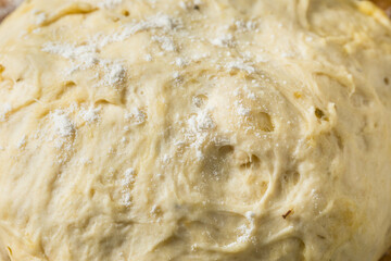 Healthy Homemade Pizza Dough Recipe