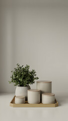 Minimalist home decor ceramic containers with lids and plant on tray for modern interior design style