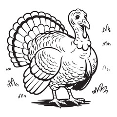 Illustration of a turkey with grass in black and white