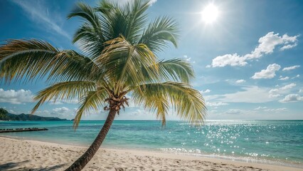 Obraz premium Seaside panorama showing a tree against water and bright sun