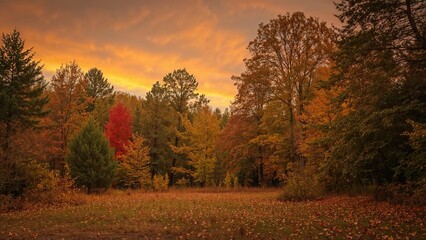 Fototapeta premium Wilderness view showcasing autumn foliage