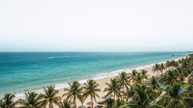 Breathtaking Shoreline View with Natural Elements and Blue Skies