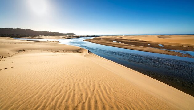Sandy river delta under a clear sky