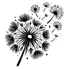 Black Dandelion Seed Head Blowing in Wind