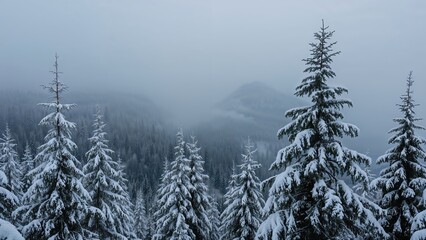 Impressive capture of spruce trees blanketed in snow on a crisp day. Picturesque winter setting in a rugged mountainous area. Ideal nature wallpaper. Welcome the New Year by admiring our planet's