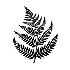 Black Silhouette of a Fern Frond
