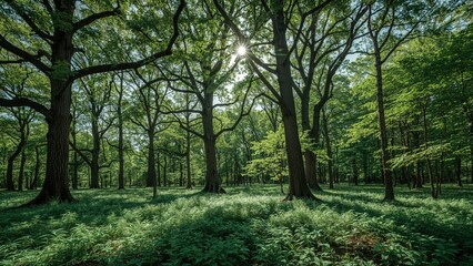 Vibrant green trees in a serene summer park setting