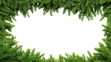 Lush evergreen foliage framing a blank space, perfect for creative designs and seasonal themes.