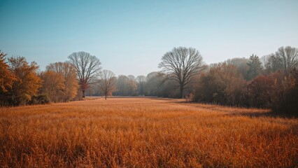 A countryside scene during autumn featuring orange-hued grass
