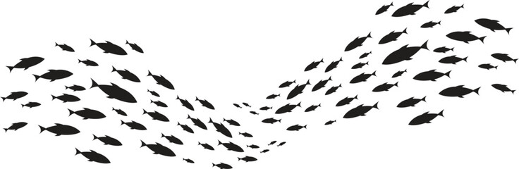 A large fish swims with a school of small fish swimming aquatic