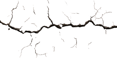 Intricate, dark, branching structure, like a root system or skeletal tree branches.  Tiny details are visible