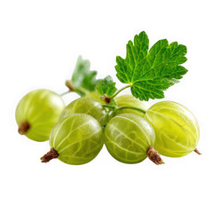 Gooseberry on white background