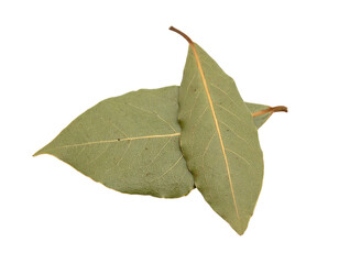 dried bay leaves isolated on transparent background, png
