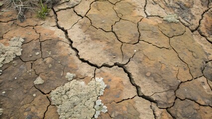 cracked earth texture