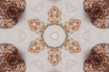 Symmetrical Seashell Kaleidoscope Ornament Pattern in Beige Sand Background Image