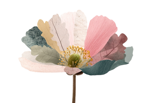 Botanical fantasy flower with mismatched petals showcasing unique colors