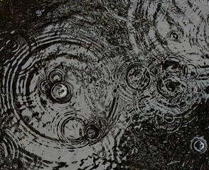 raindrops fall steadily, creating series ripples across puddle. surface reflects cloudy sky, enhancing calm atmosphere this rainy day. top view. close up.