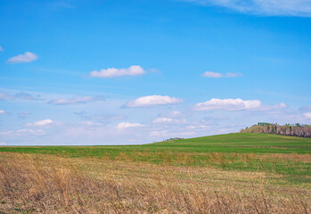 Obraz premium Bright green fields stretch across the landscape, dotted with patches of dry grass.